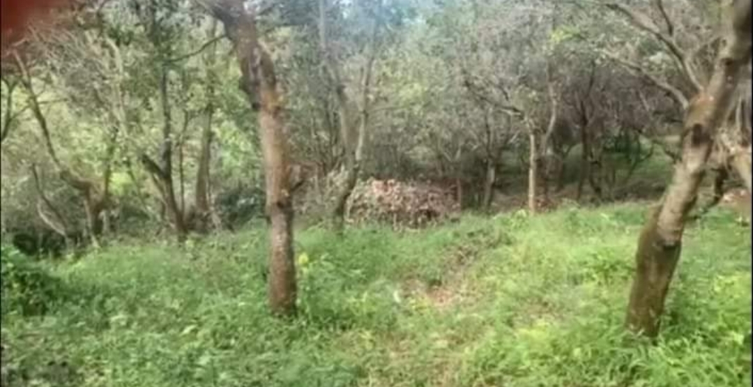 Bán đất xã Đăk Ơ dt 2,4ha giá 450tr/ha