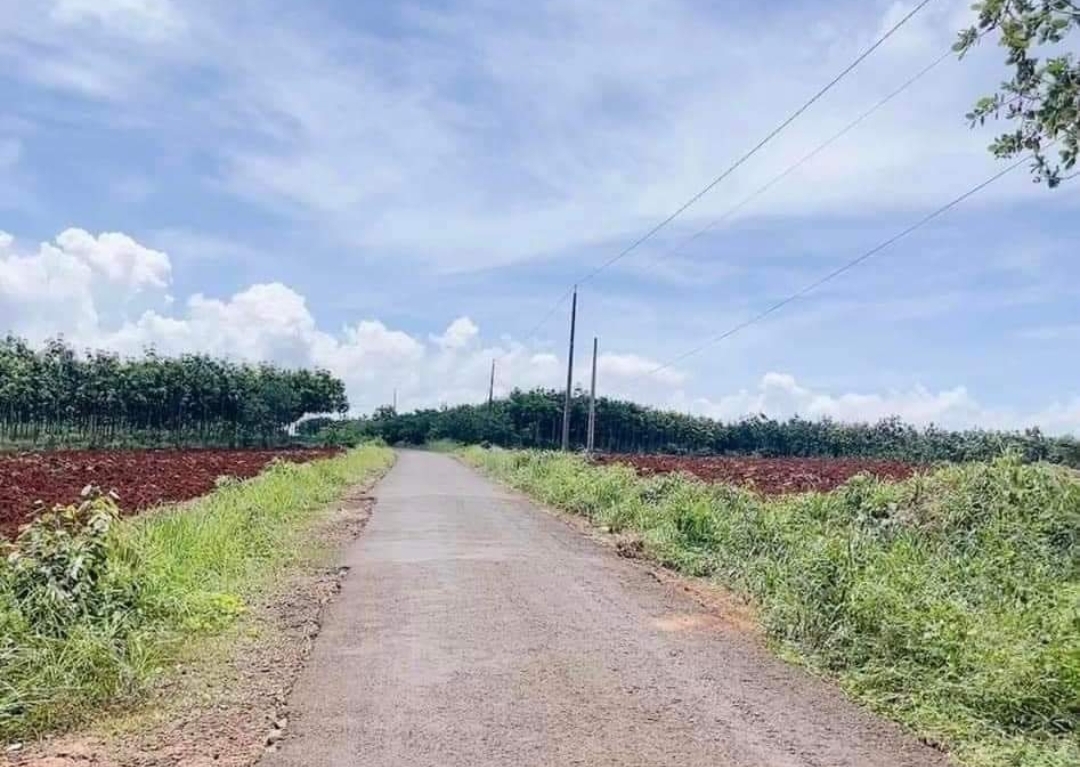 Bán đất xã Đức Hạnh dt 8,4xài giá 1tỷ