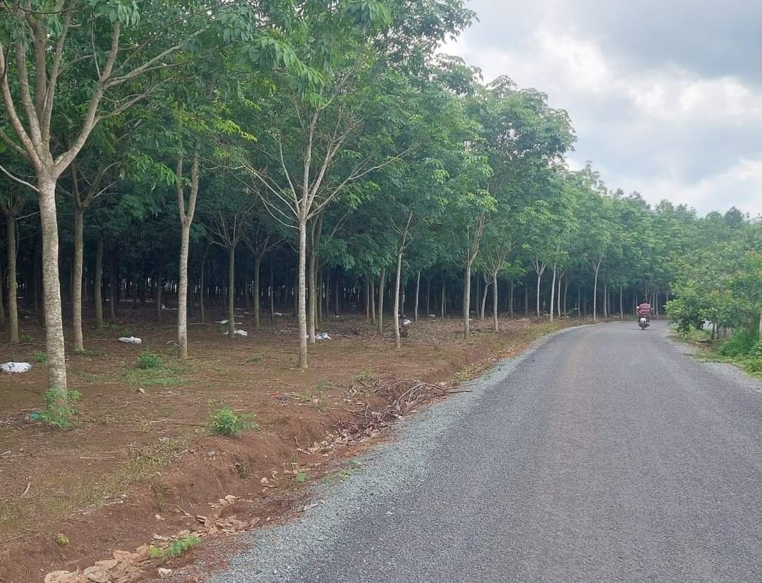 Bán đất xã Long Hà Nội 30*50*100tc vừa 35tr/m