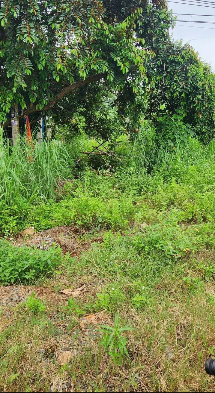 Bán đất xã Thanh Phú giá 1tỷ1 dt 5×25