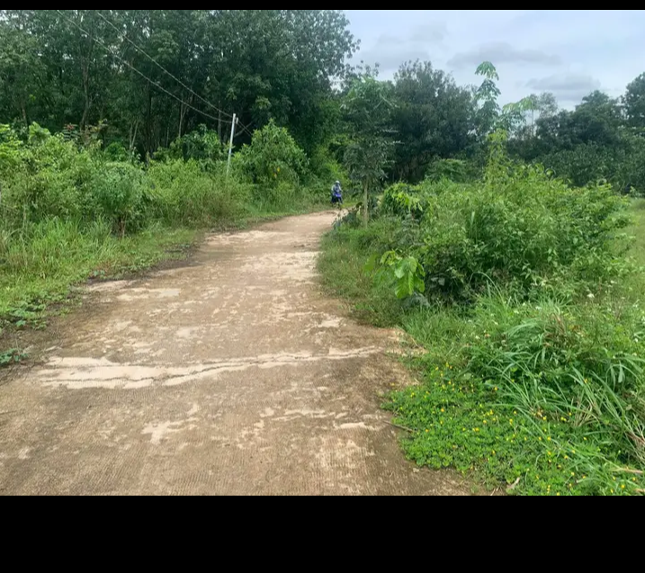 Bán đất xã Thanh Lương giá 199tr dt 199m2
