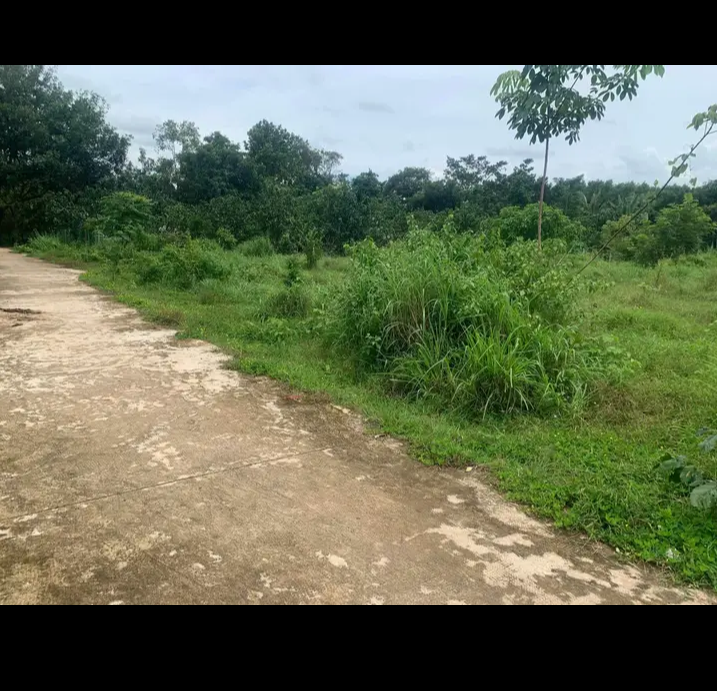 Bán đất xã Thanh Lương giá 199tr dt 199m2