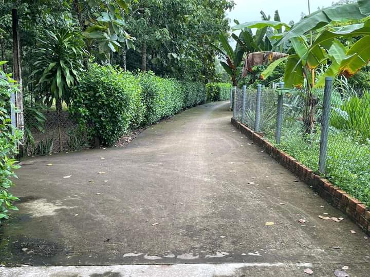 Bán đất xã Thanh Lương giá 2tỷ7 dt 1ha4