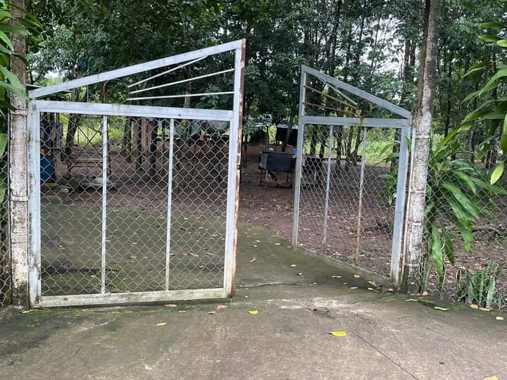 Bán đất xã Thanh Lương giá 2tỷ7 dt 1ha4