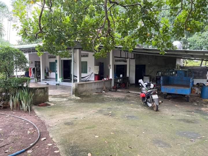 Bán đất xã Thanh Lương giá 2tỷ7 dt 1ha4