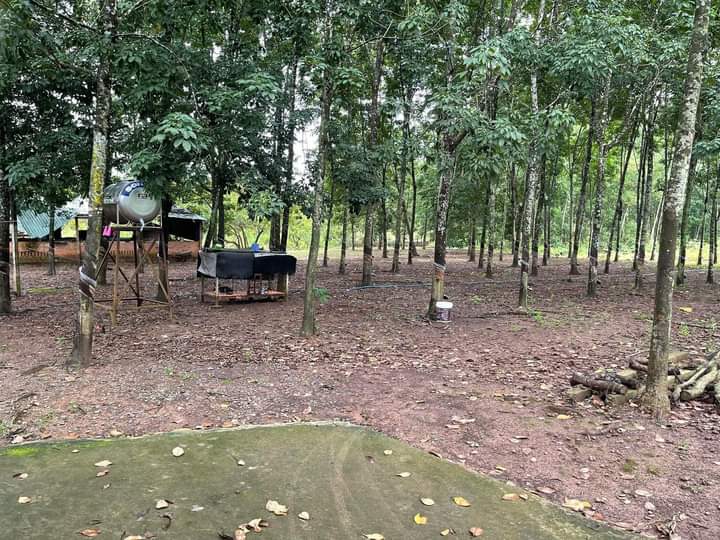 Bán đất xã Thanh Lương giá 2tỷ7 dt 1ha4