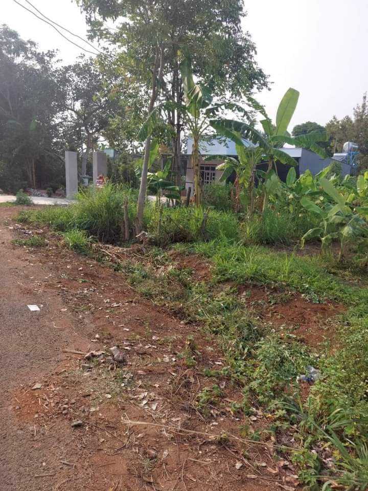 Bán đất phường An Lộc giá 1tỷ dt 5×54
