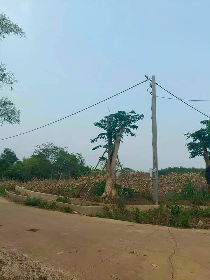 Bán đất xã Lộc Quang giá 500tr dt 1sào