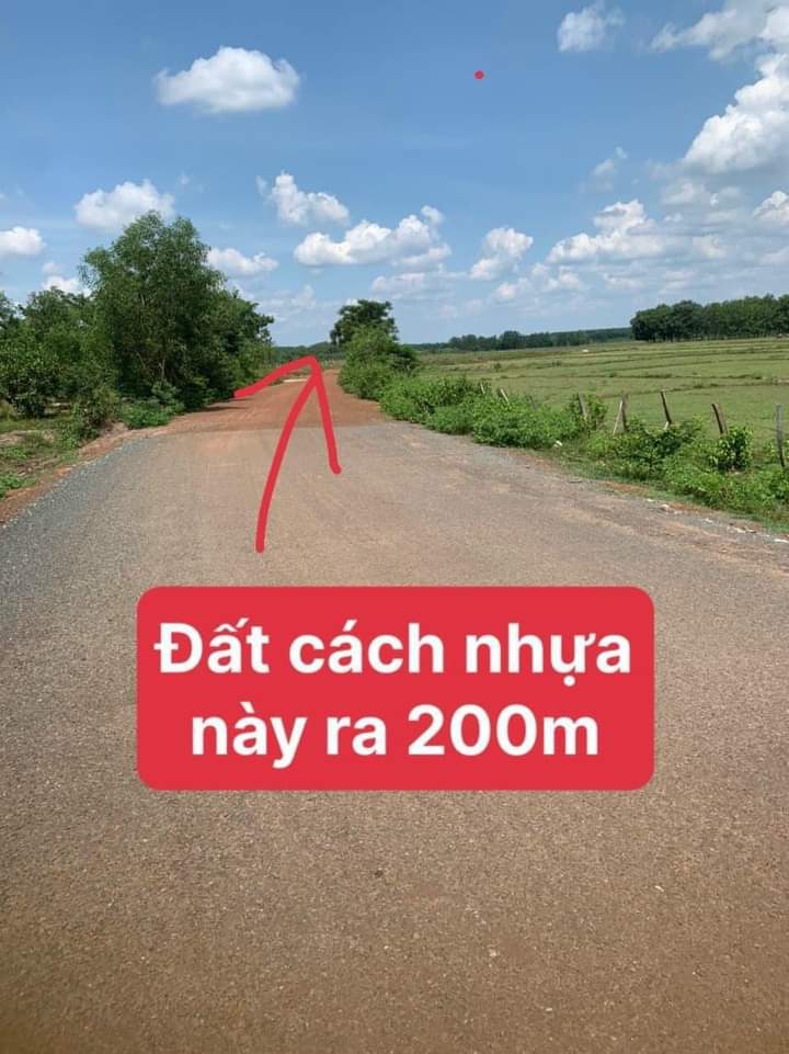 Bán đất ấp Xa Cô xã Thanh An giá 350tr dt 1,1 sào