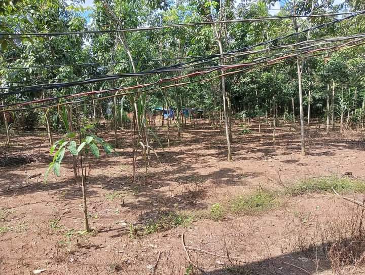 Bán đất ấp 5 xã An Khương giá 195tr dt 5×40
