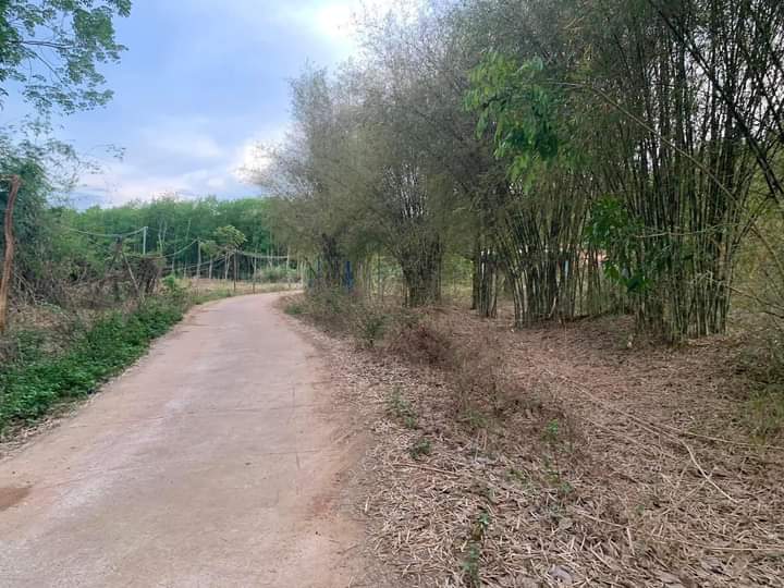 Bán đất xã Thanh Phú giá 250tr dt 1000m2