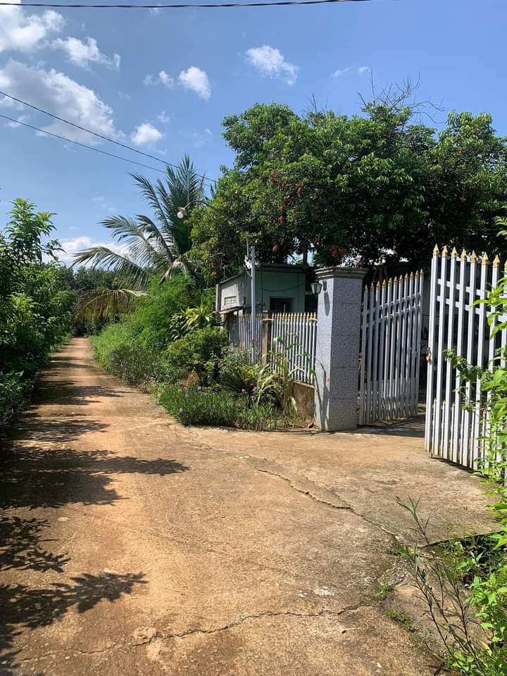 Bán đất xã Thanh An giá 399tr dt 10×60×100tc
