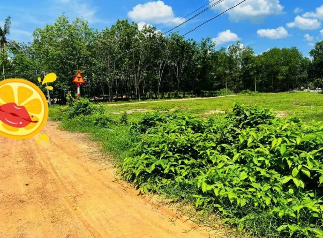 Bán đất xã Ninh Điền dt 5*20 full tc giá 175tr