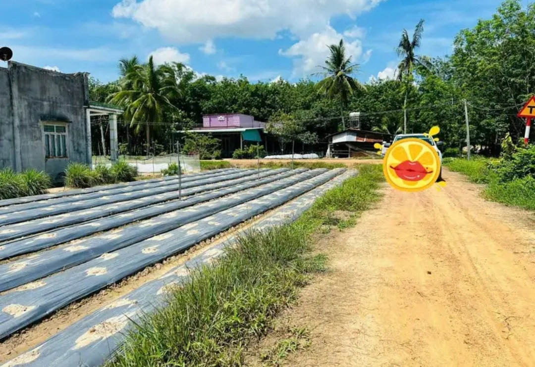 Bán đất xã Ninh Điền dt 5*20 full tc giá 175tr