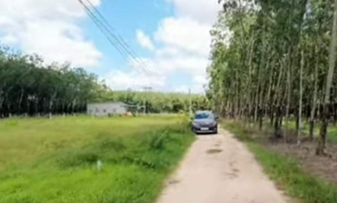 Bán đất xã Thành Long dt 5*40 giá 250tr