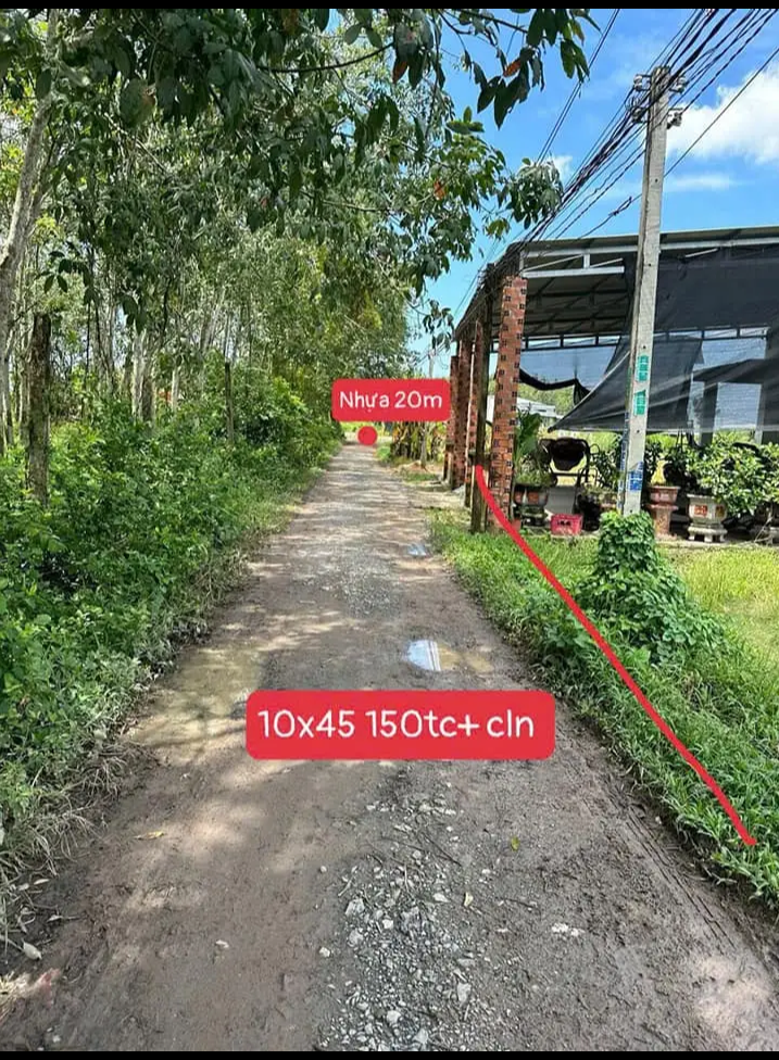 Bán đất xã Thanh Phước giá 870tr dt 10×45×150tc