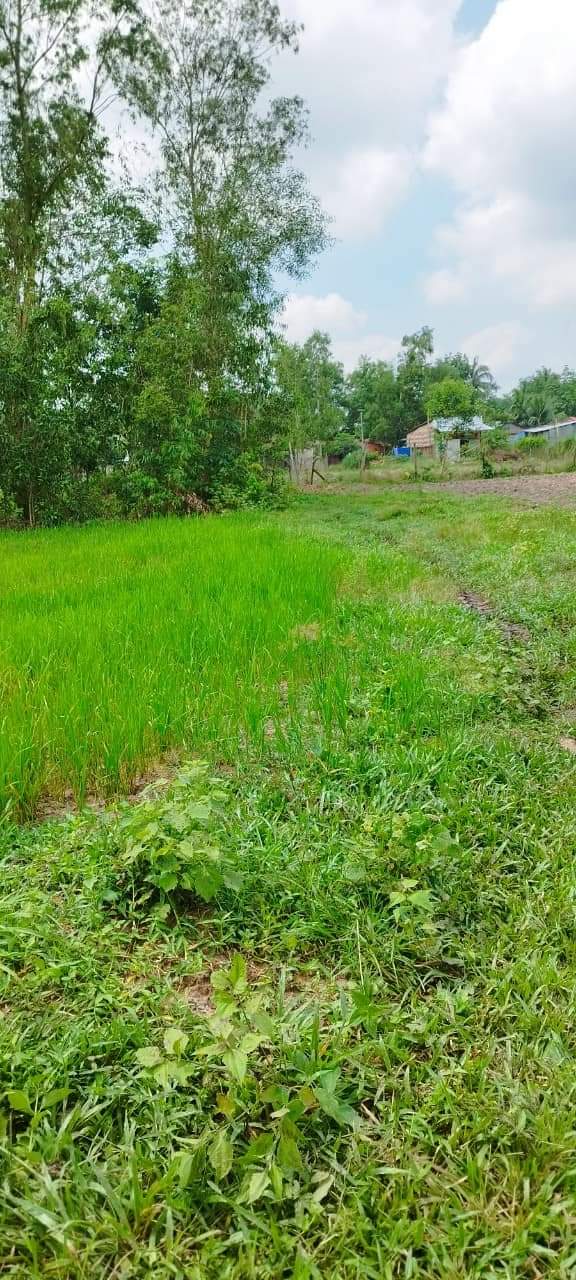 Bán đất xã Suối Dây giá 800tr dt 1 mẫu