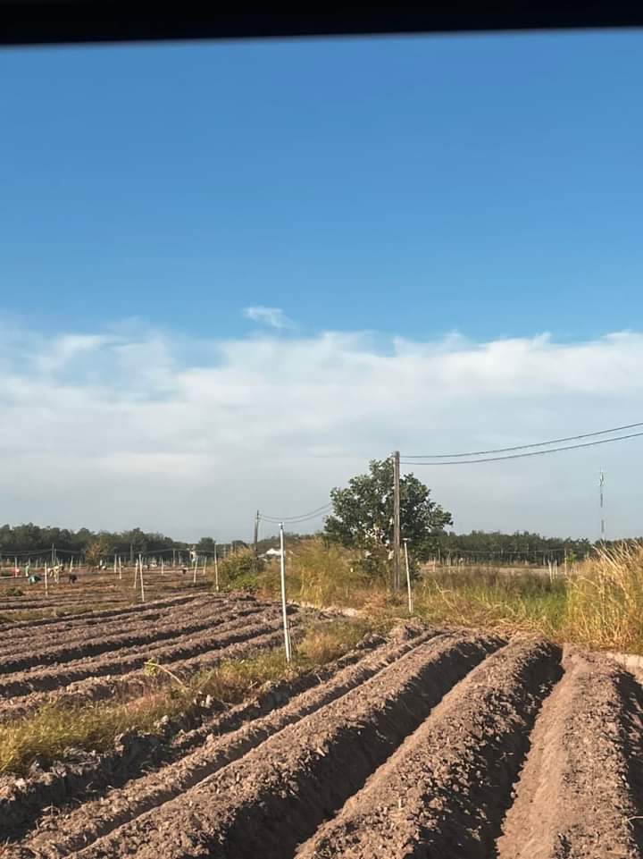 Bán đất xã Tân Phú giá 110tr dt 5×70