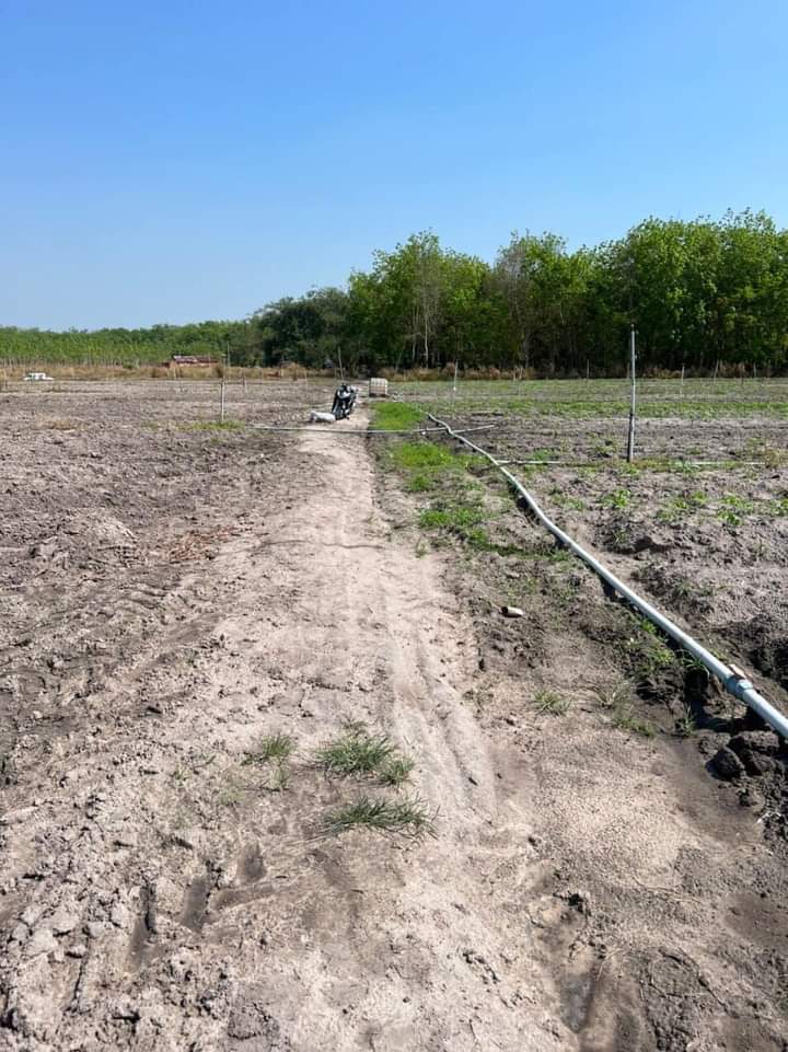Bán đất xã Tân Đông giá 850tr dt 9,5ha