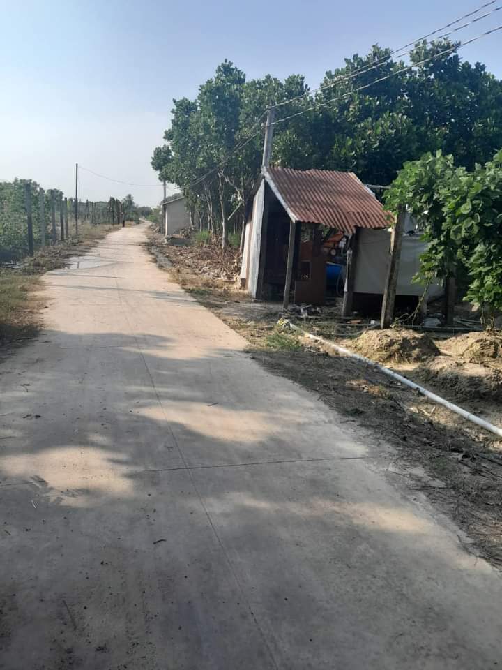 Bán đất xã Thạnh Đông giá 60tr/m dt 11,5×52×118m²tc