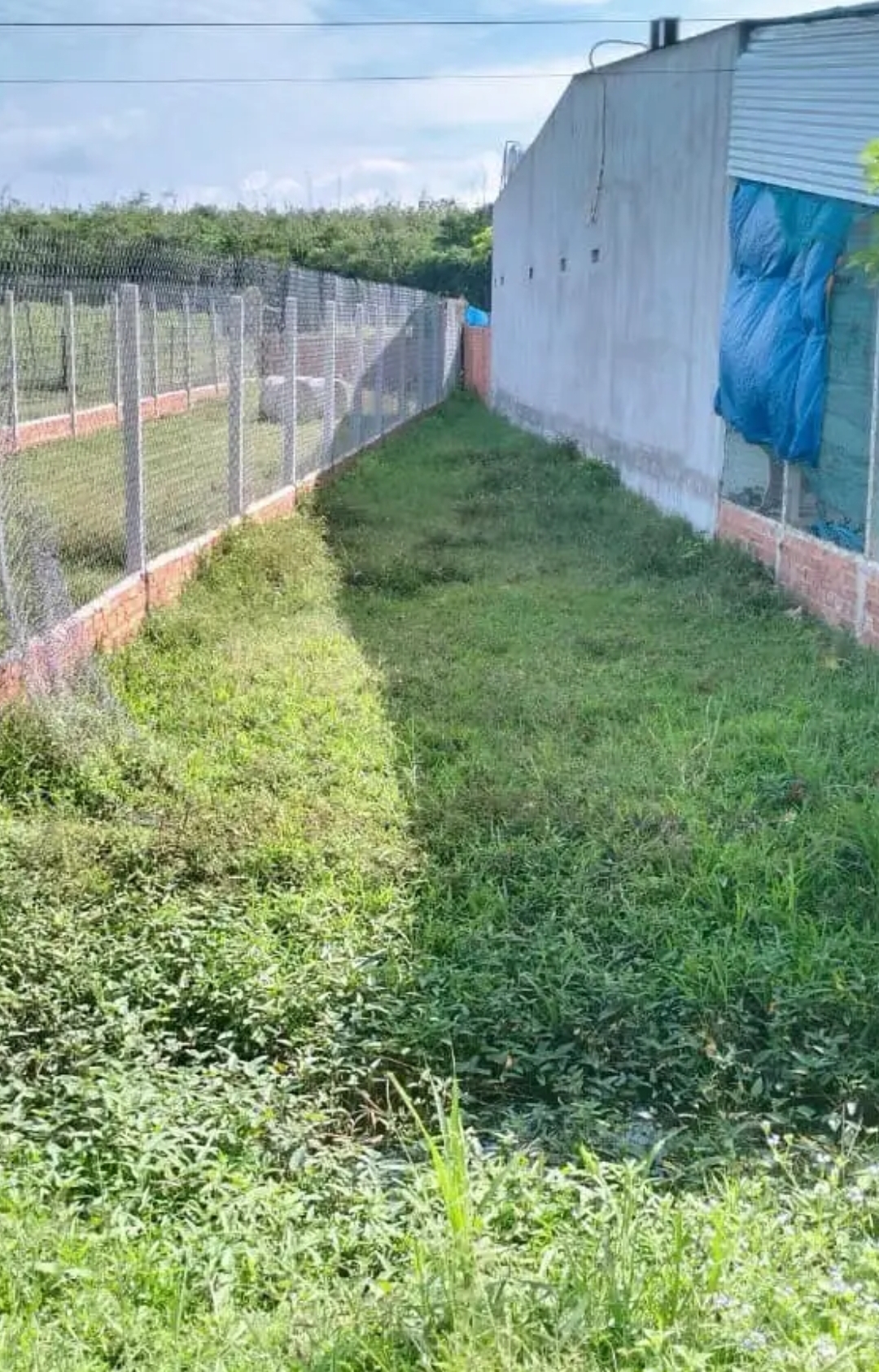 Bán đất xã Bàu Năng dt 10*38*100tc giá 120tr/m ngang