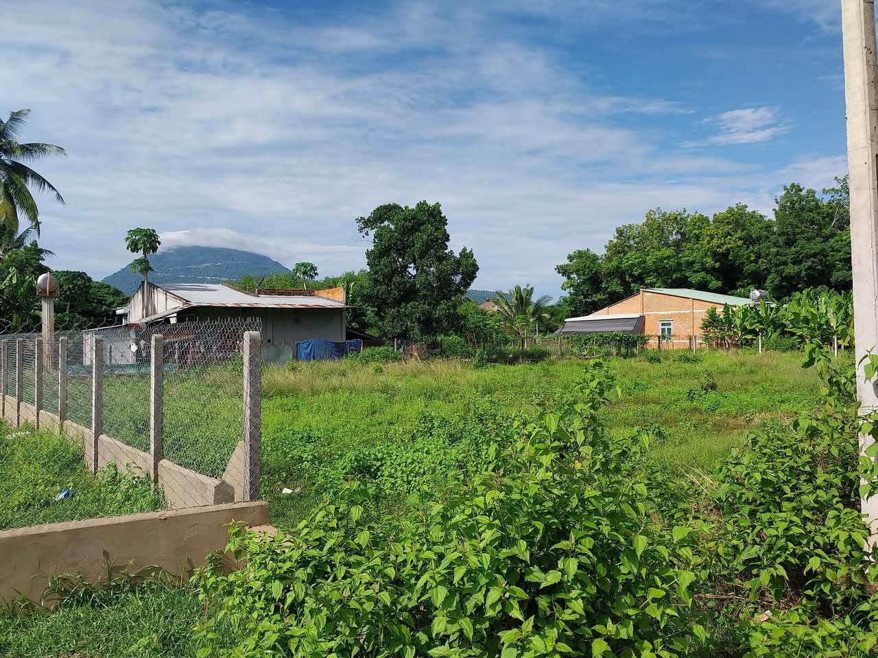 Tân trung A, tân châu, tây ninh, cách đường tỉnh lộ 785